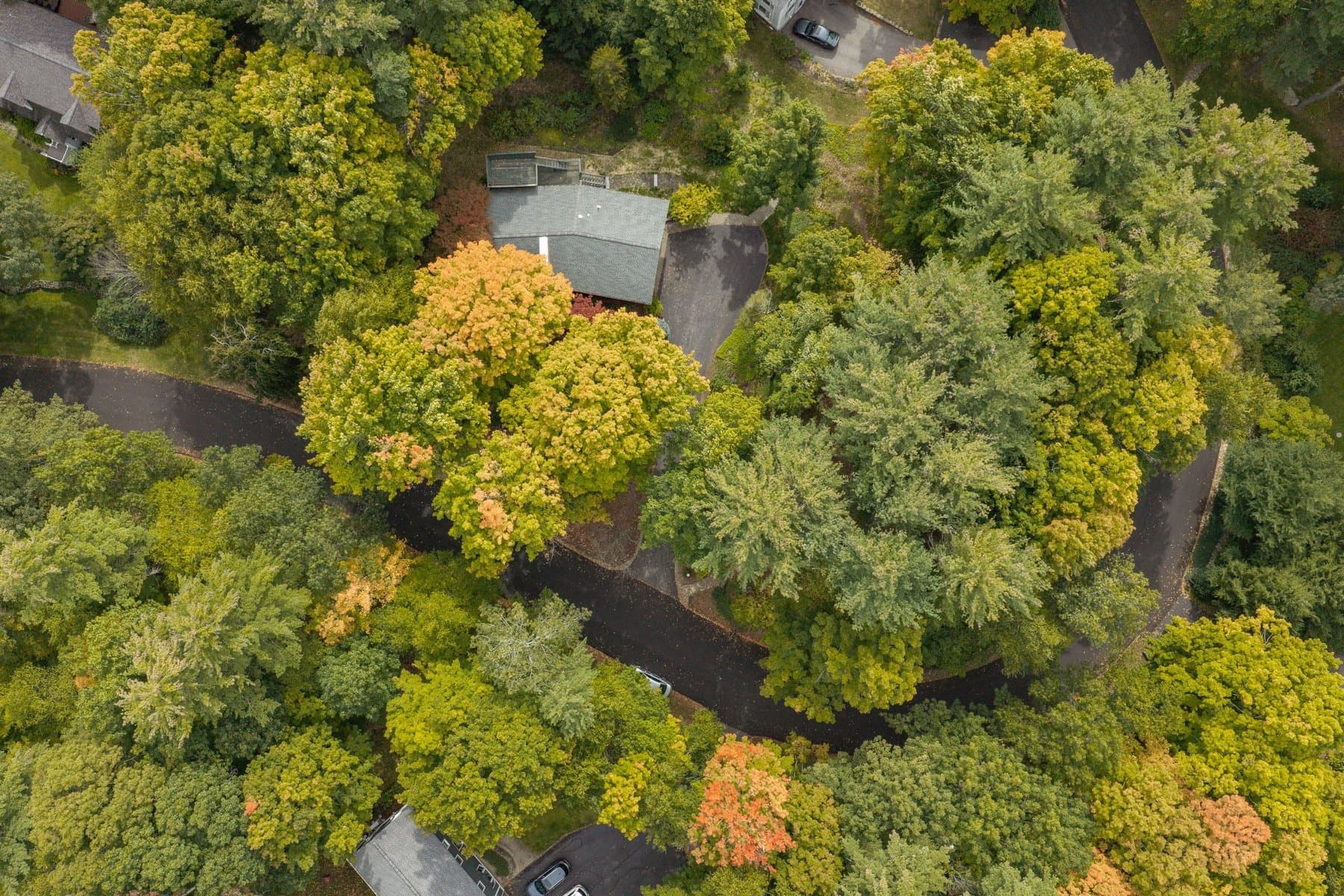 The house and its roof from directly above, in the trees inside the loop of Morgan Way